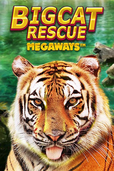big cat rescue